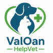ValOan HelpVet